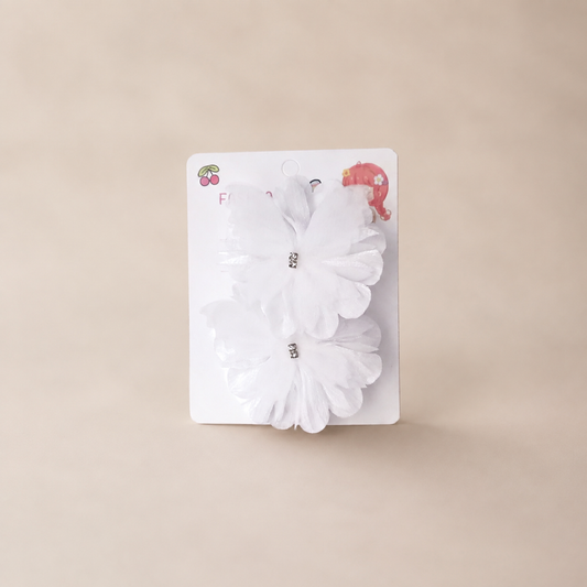 Women’s Hair Clips